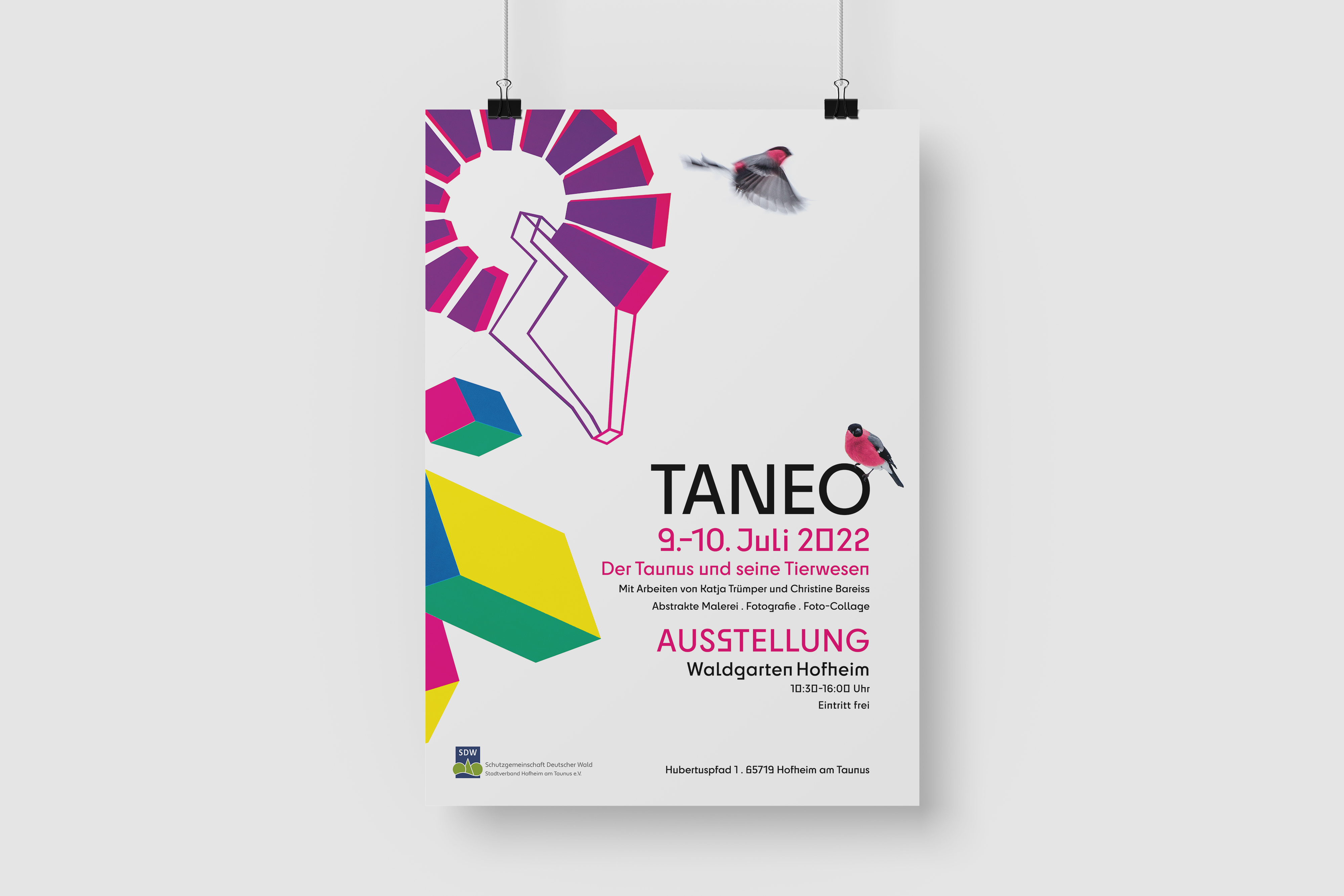 Taneo Ausstellung